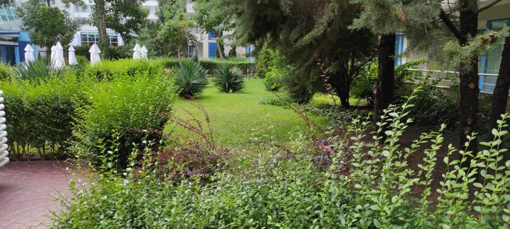 Excelsior Holiday Apartments 91 Sunny Beach Bulgarien Sonnenstrand 외부 사진